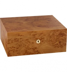 Adorini Catania Elm Burl Medium Deluxe