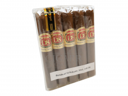 Vegas de Santiago D8 Robusto 10-Pack