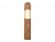 FdP Columbus Petit Robusto lösplugg