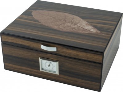 Humidor Dark Leaf